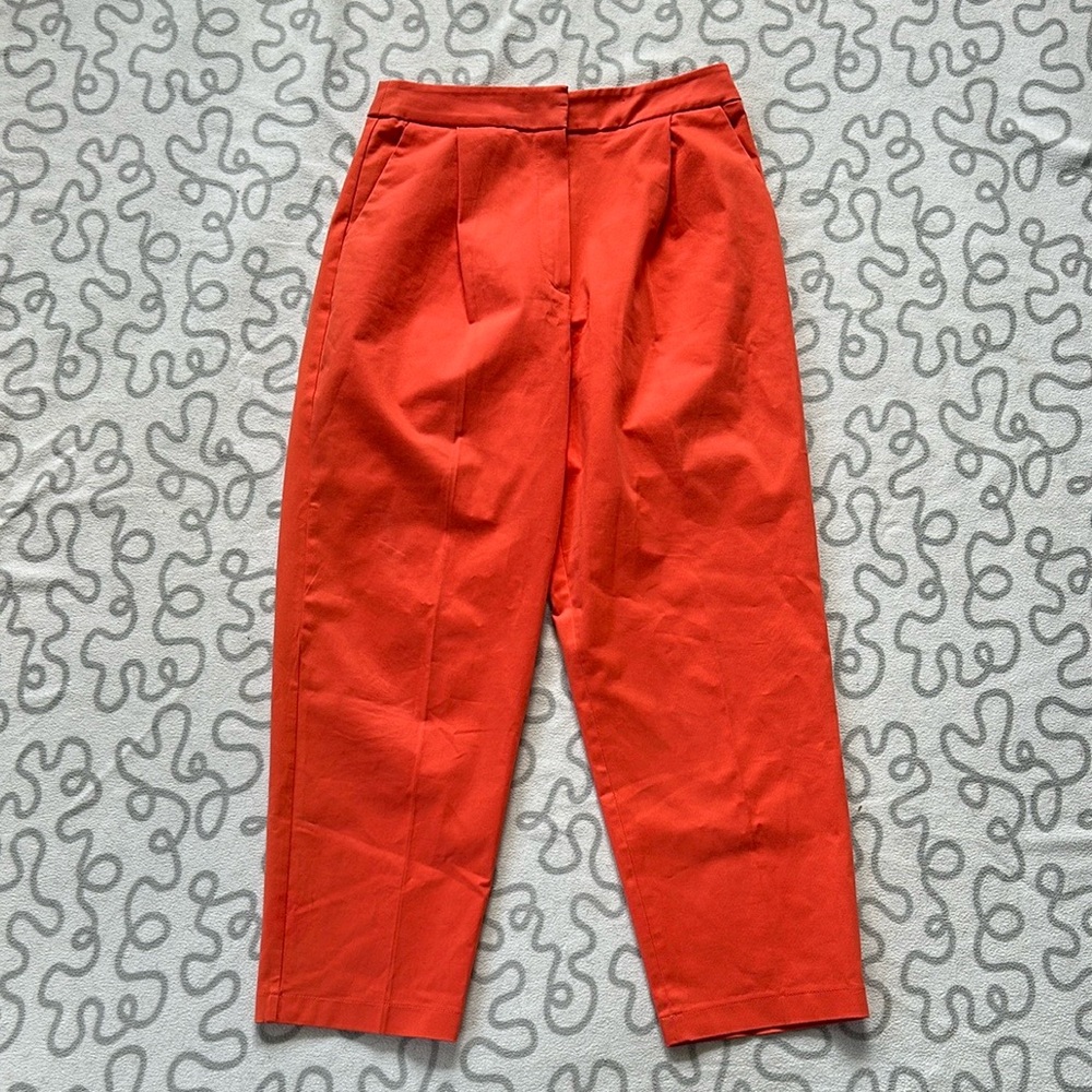 Anthropologie Exquise Pleated Trouser Pant